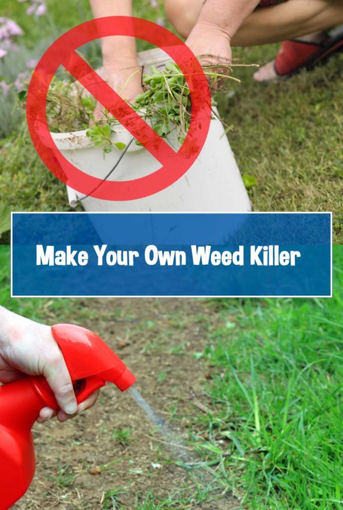 diy greden weed killer