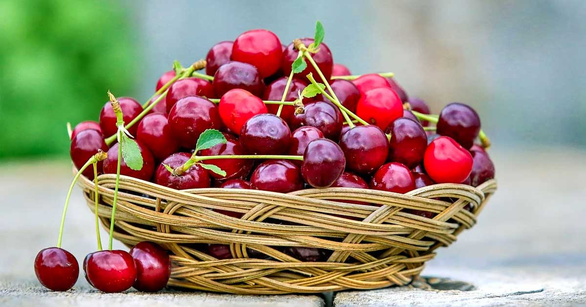 The 8 Best Foods That Help Headaches