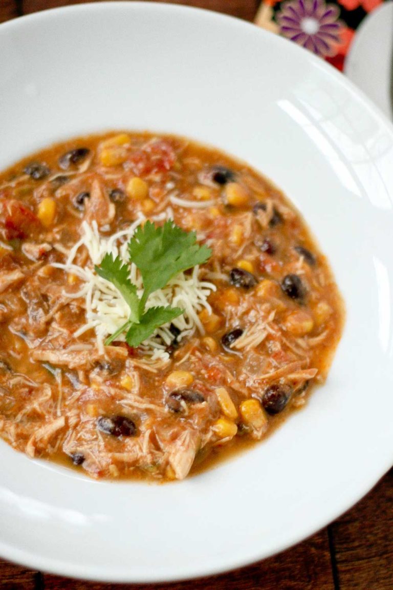 Crockpot Chicken Enchilada Soup