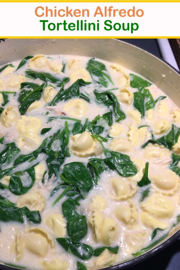 Chicken Alfredo Tortellini Soup