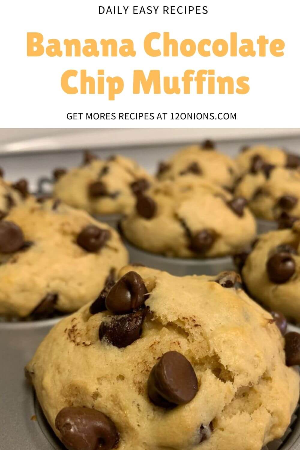 Banana Chocolate Chip Muffins